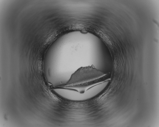 X0000097990449200804141146