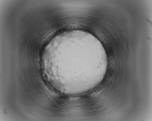 X0000097990450200804141146