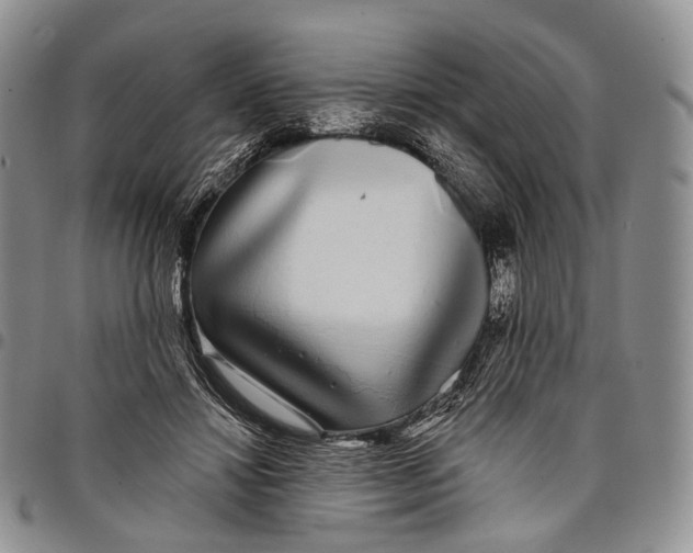 X0000097990452200804141146