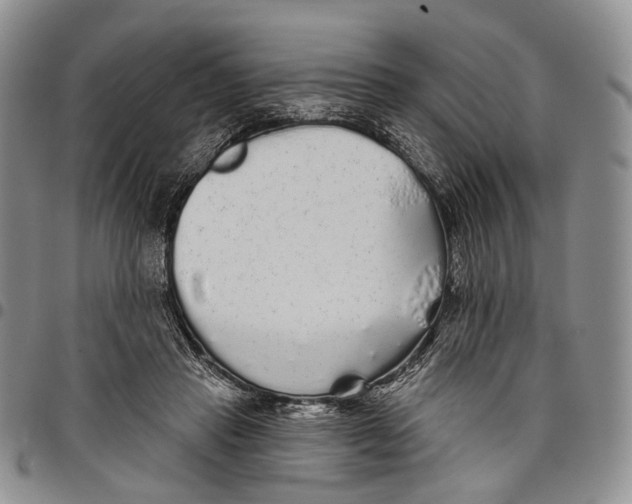 X0000097990453200804141146