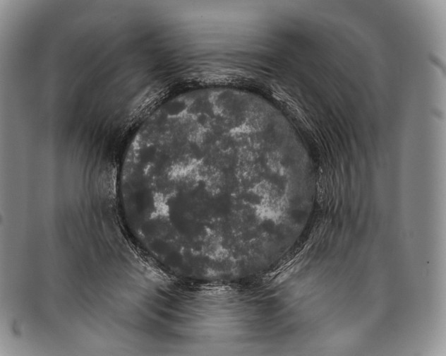 X0000097990454200804141146