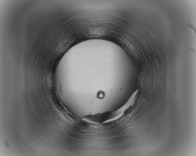 X0000097990455200804141146