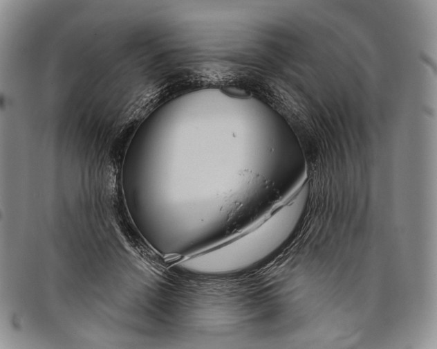 X0000097990456200804141146