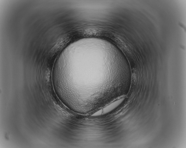 X0000097990458200804141146