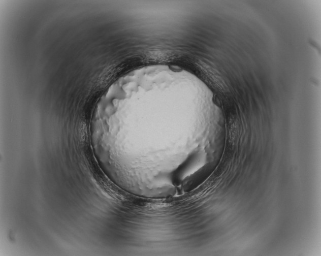 X0000097990459200804141146