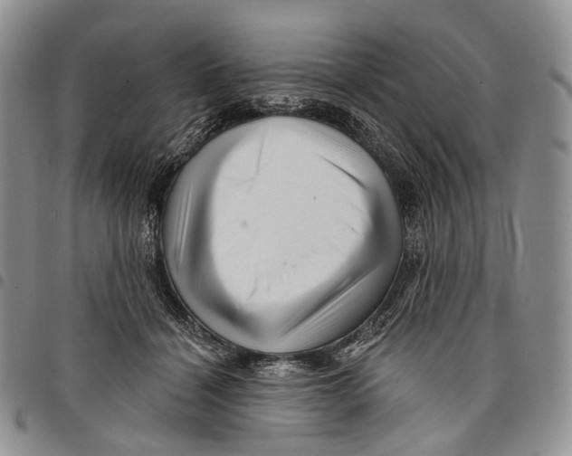 X0000097990460200804141146