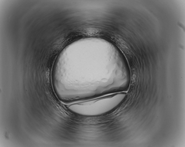 X0000097990461200804141146