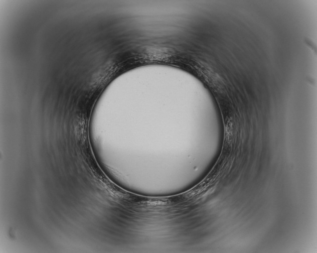 X0000097990462200804141146