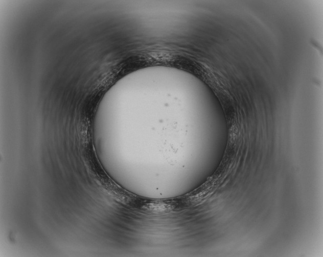 X0000097990464200804141146