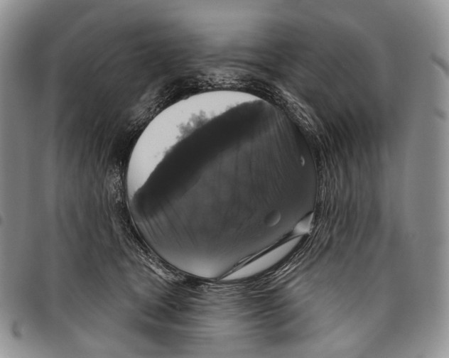 X0000097990465200804141146