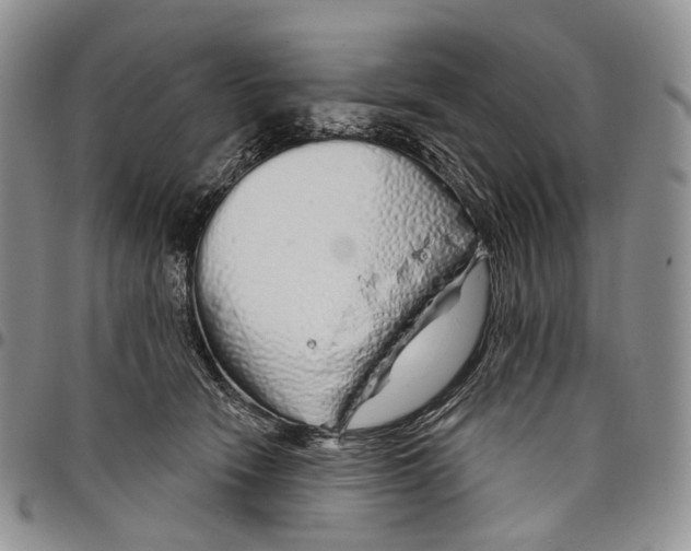 X0000097990466200804141146