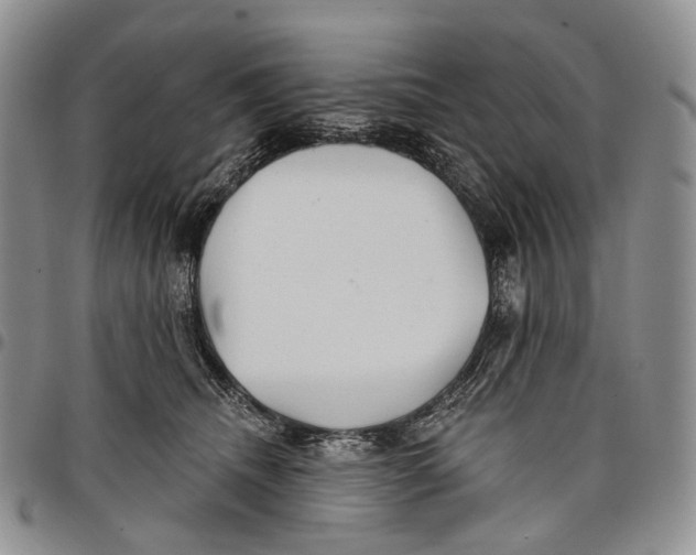 X0000097990468200804141146