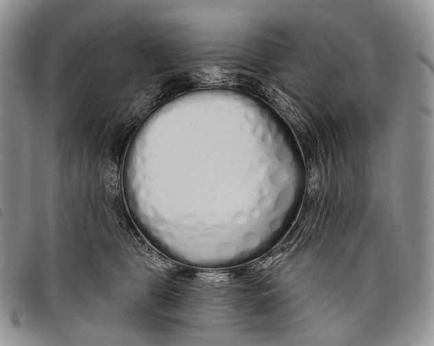 X0000097990469200804141146