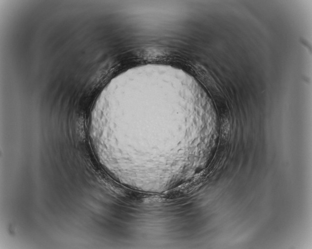 X0000097990470200804141146