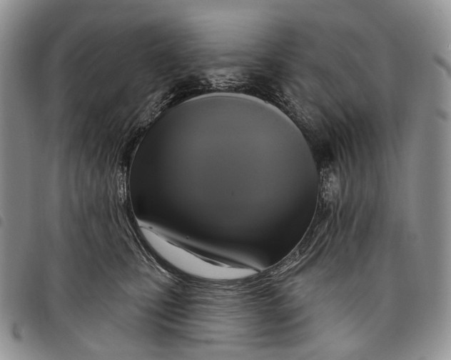 X0000097990471200804141146