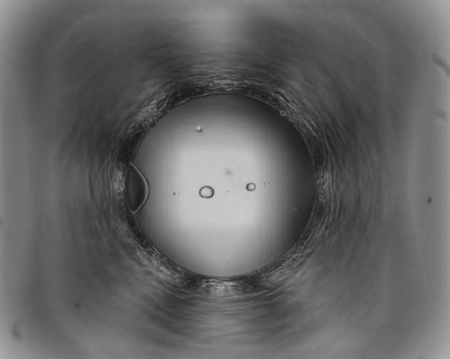 X0000097990472200804141146