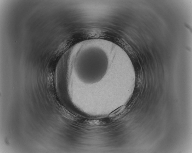 X0000097990473200804141146