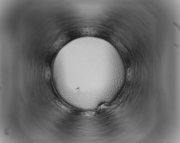 X0000097990474200804141146