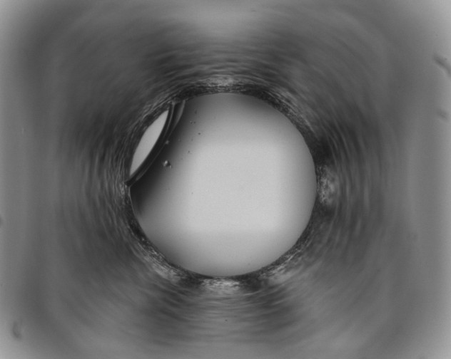 X0000097990476200804141146