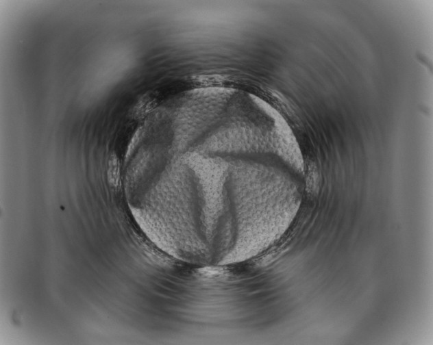 X0000097990477200804141146