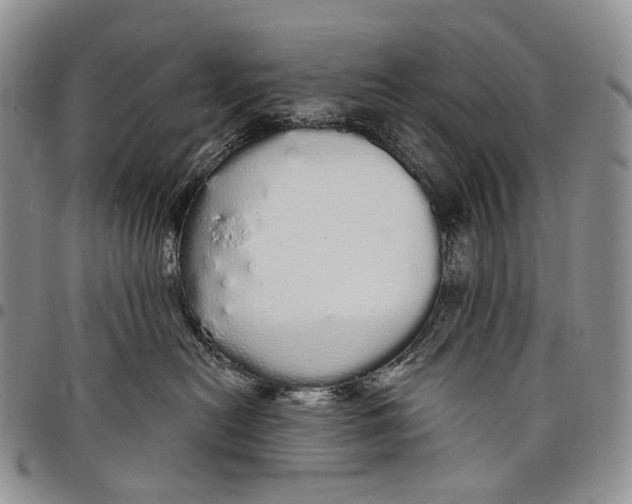 X0000097990478200804141146