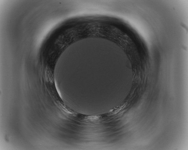 X0000097990479200804141146