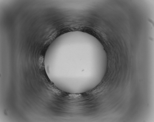 X0000097990480200804141146