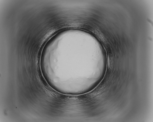 X0000097990483200804141145