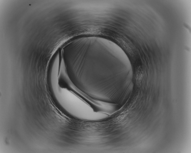 X0000097990484200804141145