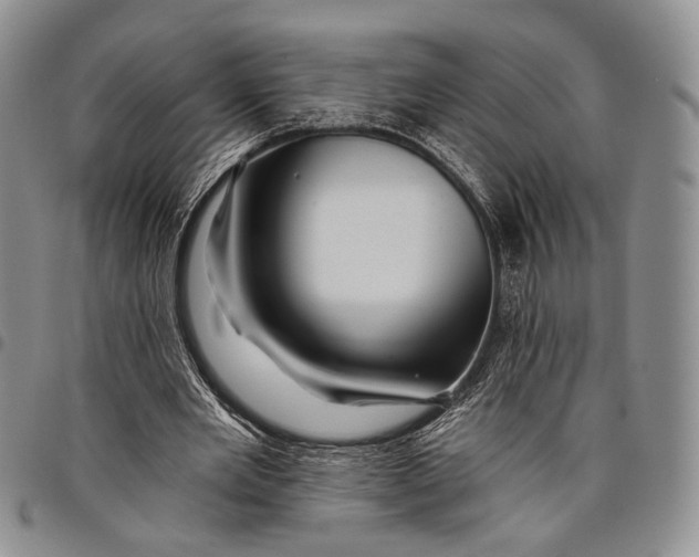 X0000097990485200804141145