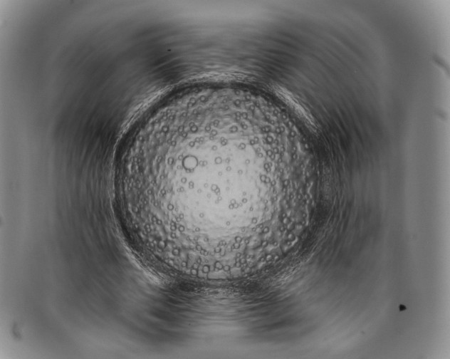 X0000097990486200804141145