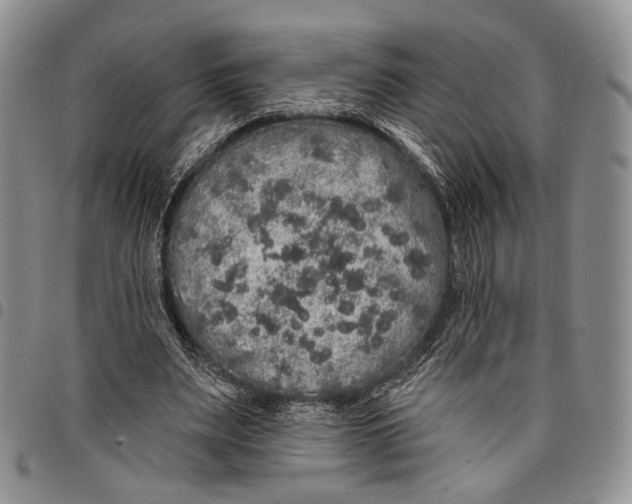 X0000097990487200804141145