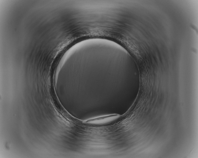 X0000097990488200804141145