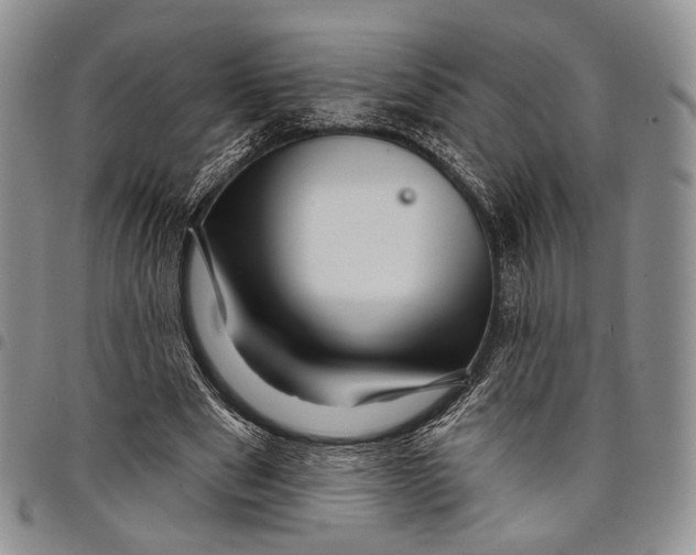 X0000097990489200804141145