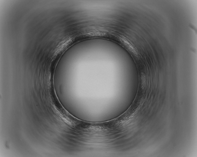 X0000097990490200804141145