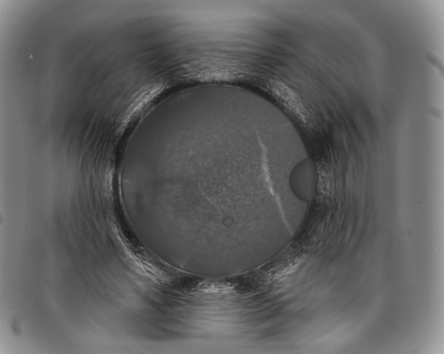 X0000097990491200804141145