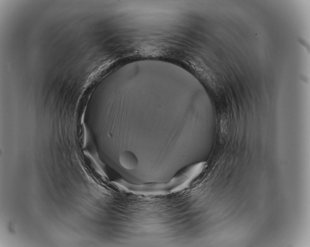 X0000097990492200804141145