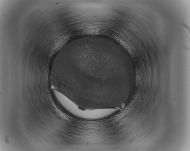 X0000097990493200804141145