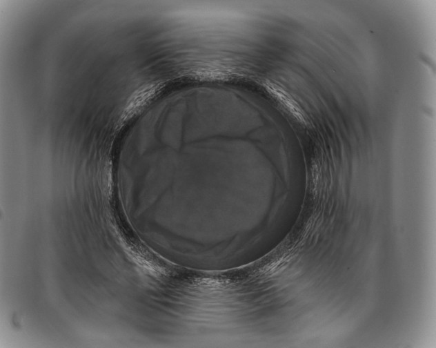 X0000097990494200804141145