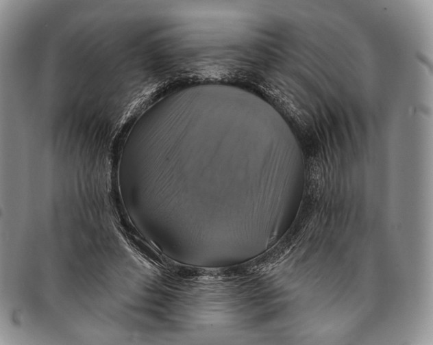 X0000097990496200804141145