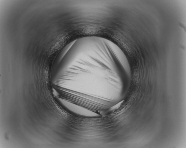 X0000097990497200804141145