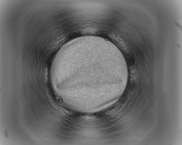 X0000097990498200804141145