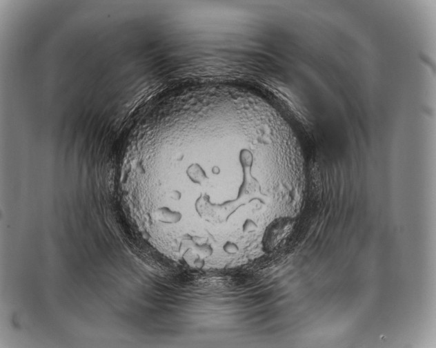 X0000097990499200804141145