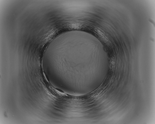 X0000097990500200804141145