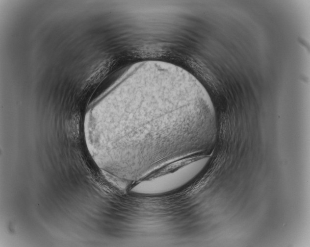 X0000097990501200804141145