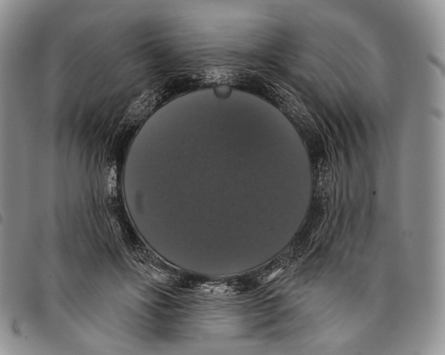 X0000097990502200804141145