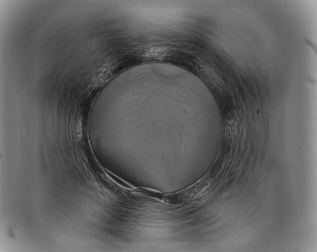 X0000097990504200804141145