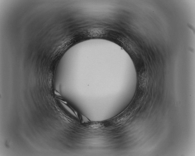 X0000097990505200804141145