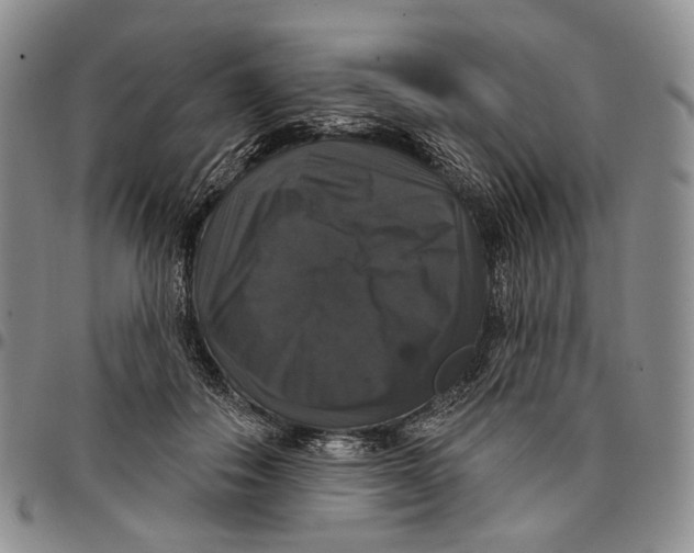 X0000097990506200804141145