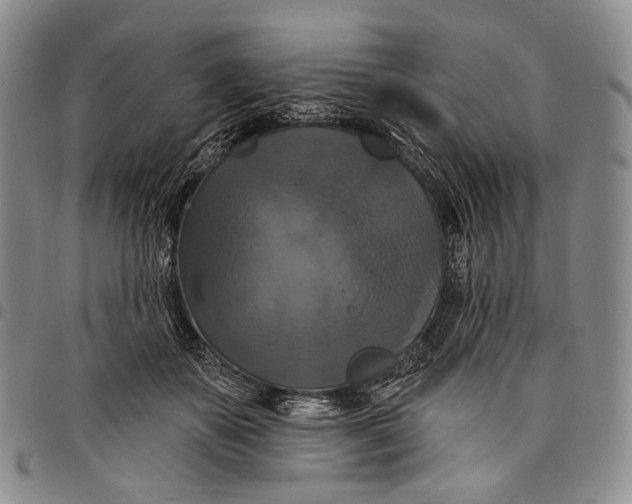 X0000097990507200804141145